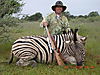 hunting_zebra_047.JPG