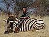 hunting_zebra_052.jpg