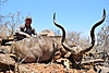 kudu56.JPG