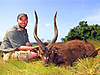 sesse-island-sitatunga-uganda.jpg