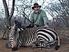 zebra-hunting.jpg