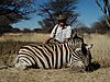 zebra_burchell_21.jpg