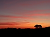 Africa_Sunset.jpg