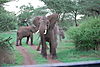 Africa_part_2_2010_930.jpeg