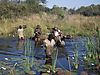 Crossing_channels_in_Caprivi_wetlands.JPG