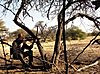 Namibia-jagten-5.jpeg