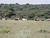 namibia-gembok-01.jpg
