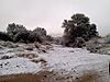 namibia-snow-05.jpg