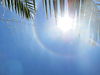 sun-halo-23.JPG