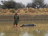 waterbuck_in_water.JPG