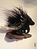 african-porcupine-taxidermy-03.jpeg