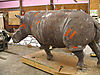 rhino-taxidermy-09.jpeg