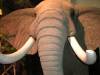 taxidermy-elephant1.jpg
