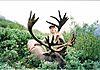 1996_Mt_Caribou.jpg