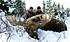 BC-Moose-Hunt.jpeg