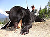 black-bear-hunting2.jpg