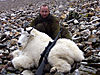 canada-hunting-mountain-goat.jpg