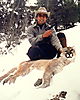 colorado_mountain_lion_adjusted.jpg