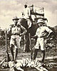 elephant-tiger-hunting2.jpg