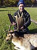 hunting-fallow-deer.jpeg