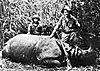 hunting-rhino-06.jpg