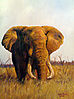Dzombo-Elephant1.jpg