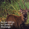 across-africa-in-quest-of-sitatunga.jpg