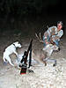 hunting-dog1.jpg
