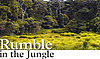 rumble-in-the-jungle.jpg