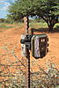 trail-camera-set-up-04.JPG