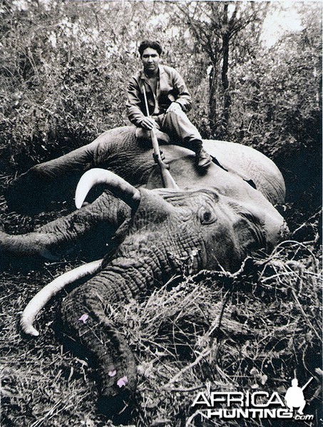 Elephant Hunter East Africa circa 1960 - My Photo Gallery