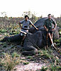 hunting-elephant5.jpg