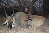 Eland_Bull_2010.jpg