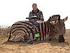 ZEBRA_11_SAVANNA_HUNTING_SAFARIS.jpg