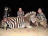 ZEBRA_12_SAVANNA_HUNTING_SAFARIS.jpg