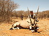 bow-hunting-africa-111.JPG