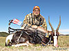 bowhunting-bontebok.jpeg