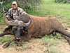 nile-buffalo-hunting1.JPG