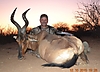 red_hartebeest5.JPG