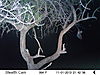 trailcamera-017.JPG