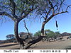 trailcamera-021.JPG