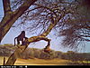 trailcamera-067.JPG