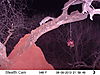 trailcamera-097.JPG