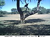 trailcamera-099.JPG