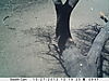 trailcamera-113.JPG