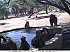 trailcamera-220.JPG