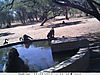 trailcamera-225.JPG