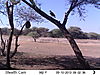 trailcamera-279.JPG