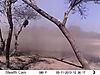 trailcamera-293.JPG