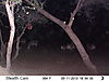 trailcamera-296.JPG